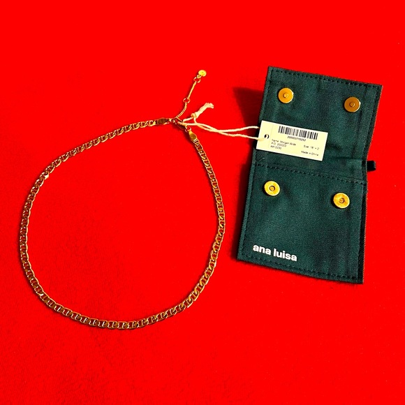 Ana Luisa Morgan Wide Necklace - Picture 1 of 4